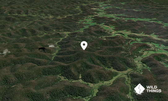 Mount Finch