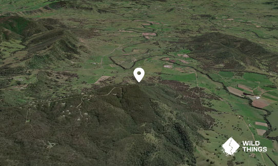 Mount George