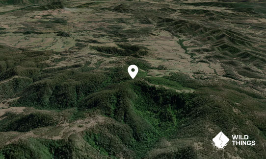 Mount Gilmore