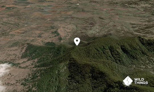 Mount Gregson