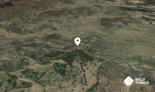 Mount Gulligal