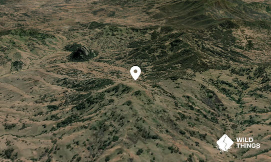 Mount Hammond