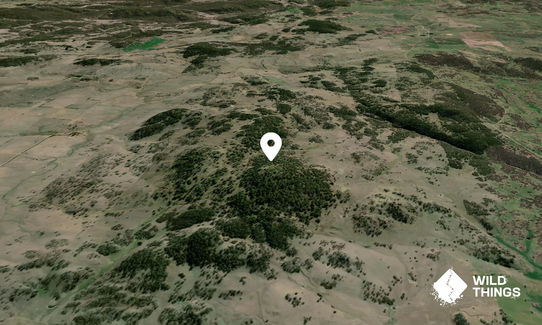 Mount Hourigan