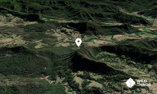 Mount Ida