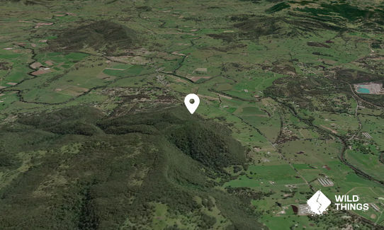 Mount Johnstone