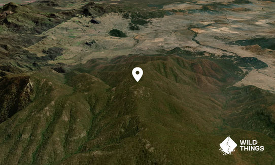 Mount Lindesay