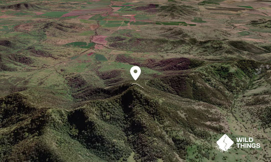 Mount MacArthur