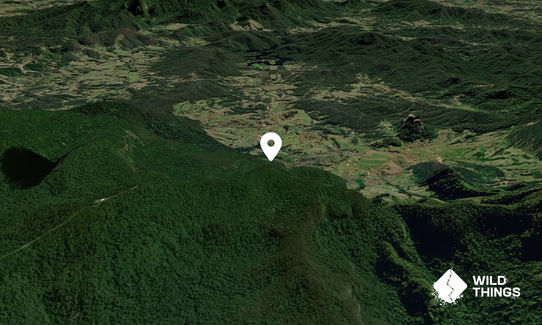 Mount Matheson
