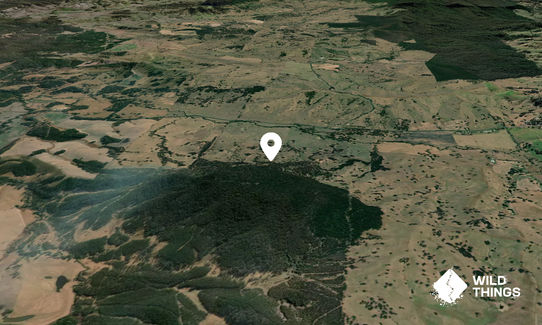 Mount Misery