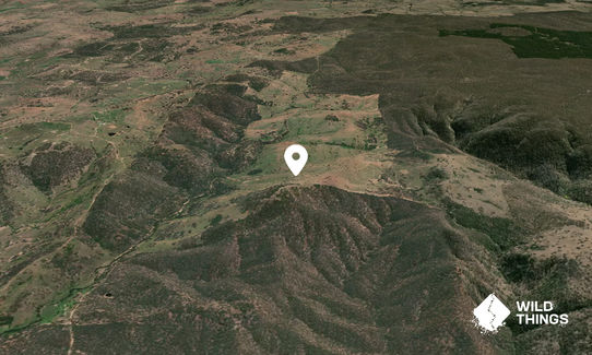 Mount Misery