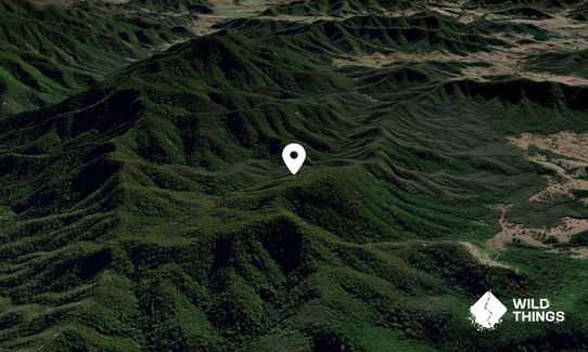 Mount Mystery