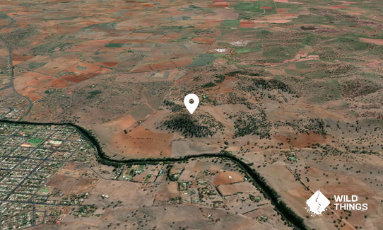 Mount Nanima