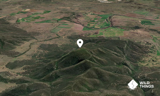 Mount Neilson