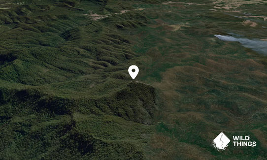 Mount Neville