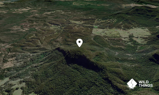 Mount Pickabooba