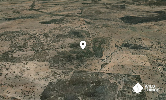Mount Rankin