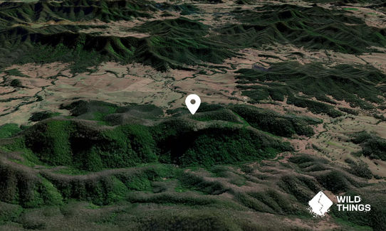 Mount Sebastopol