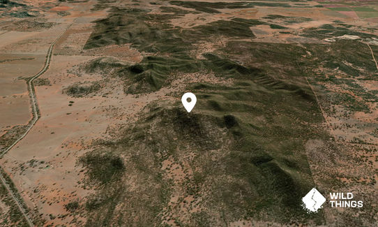 Mount Susannah