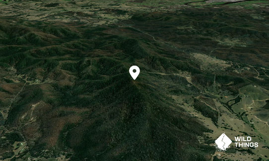 Mount Talawahl