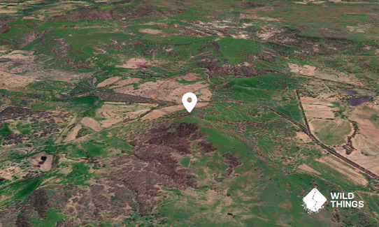 Mount Tareela