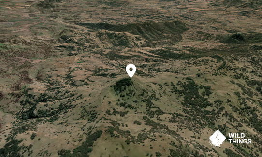 Mount Temi