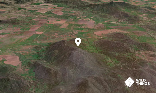 Mount Terrible