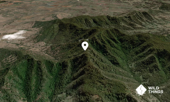Mount Tingaroo