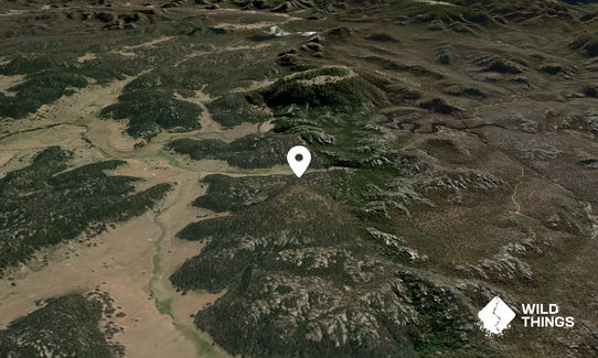 Mount Towinhingy