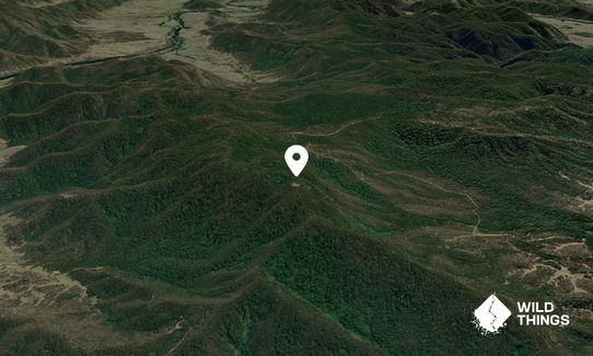 Mount Walker