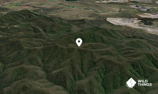 Mount Wambo