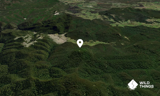 Mount Warrawolong