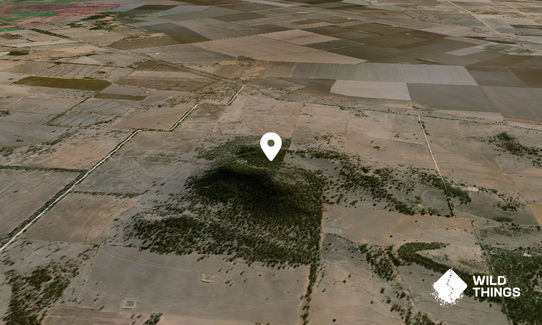 Mount Watermark