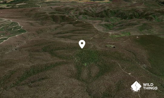 Mount Werong