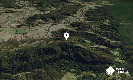 Mount William