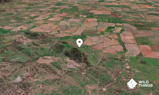 Mount Winton
