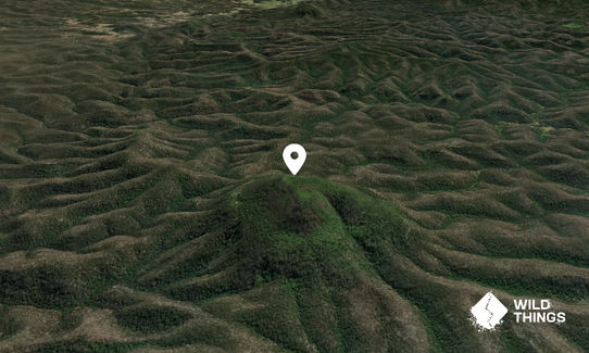 Mount Yengo