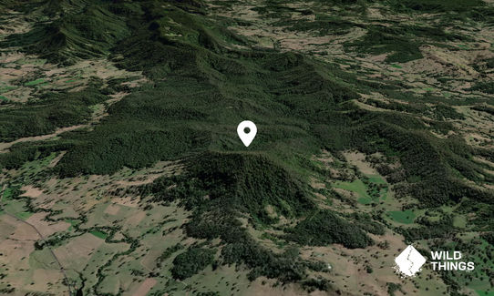 Muckleewee Mountain
