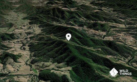 Nesbitts Peak