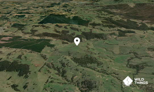 Nunans Hill