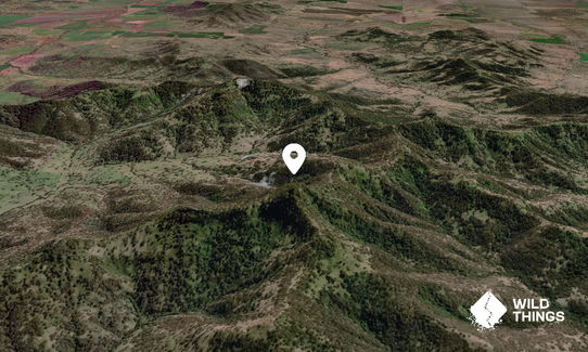 Oxleys Peak