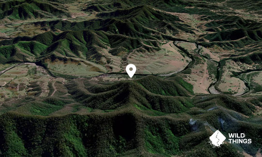 Paddys Mountain