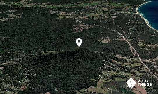 Picket Hill