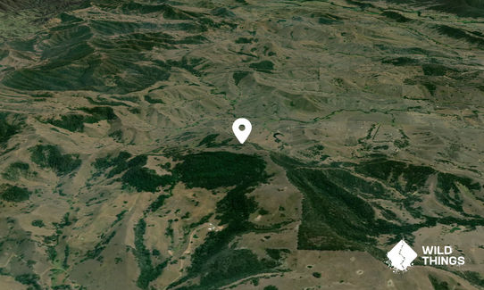 Pilchers Mountain