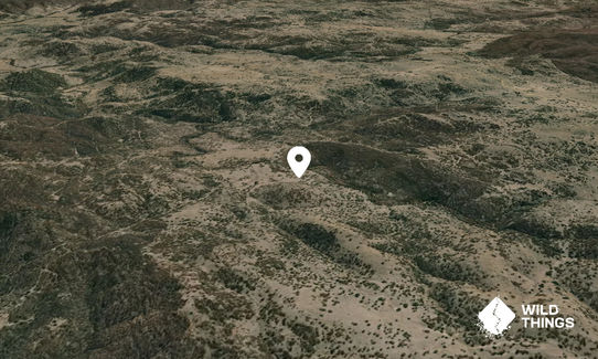Pine Mountain
