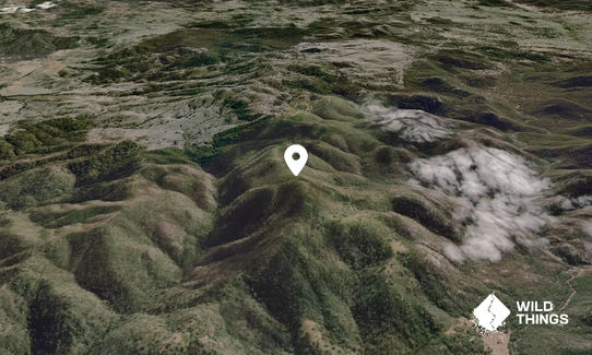 Plum Pudding Mountain