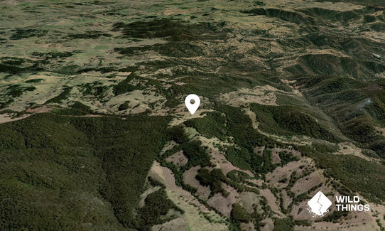Quigeram Pinnacle