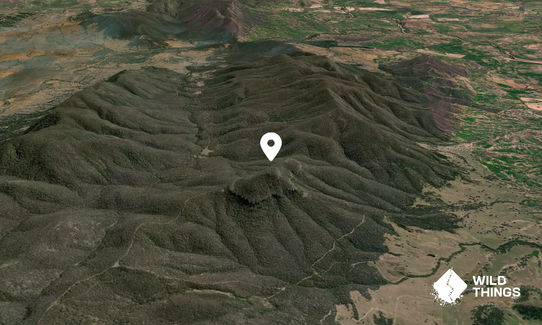 Round Mountain