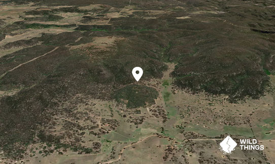 Round Mountain