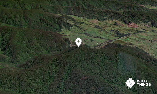 Scattered Top Mountain