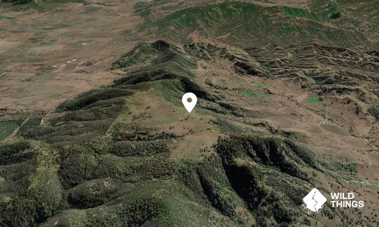 Scone Mountain